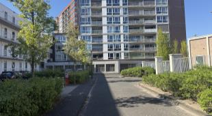 A rental house advertisment